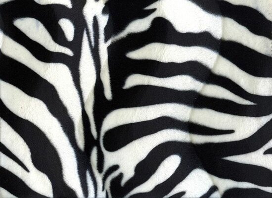 Velboa Dieren Print Zebra Groot