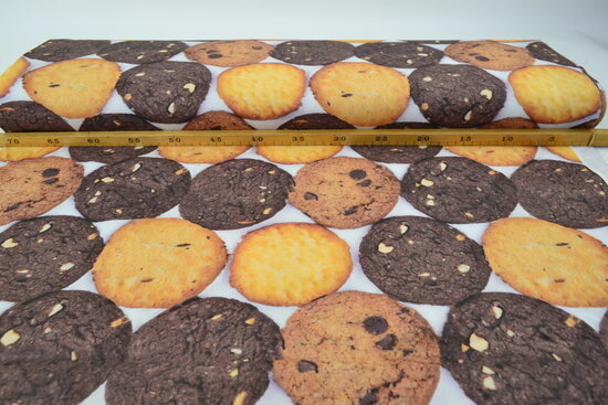 Cotton Canvas Fabric Digitally Printed Cookies