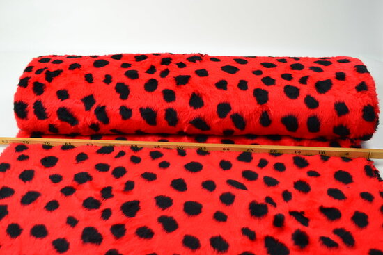 Kortharig Bont Rood met zwarte stip