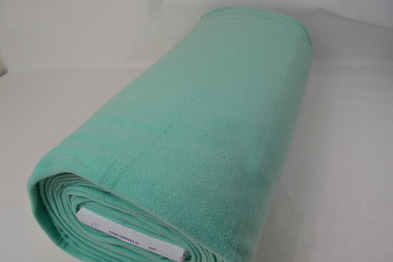 Polar Fleece Mint