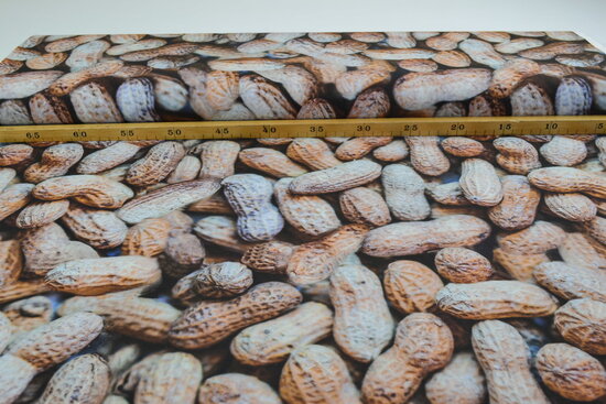 Cotton Canvas Fabric Digitally Printed Peanuts