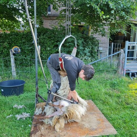 Vulwol gewassen 1000 gram