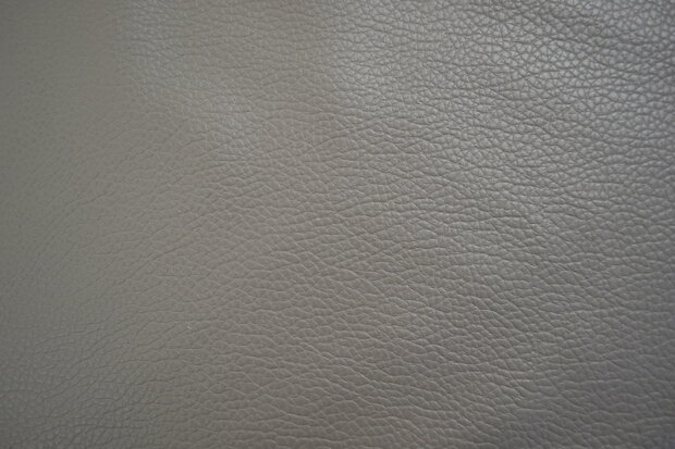 Faux Leather / Skai Heavy Leather Taupe